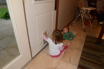 Greta and JB investigating the doggie door1